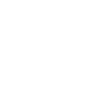 심미보철